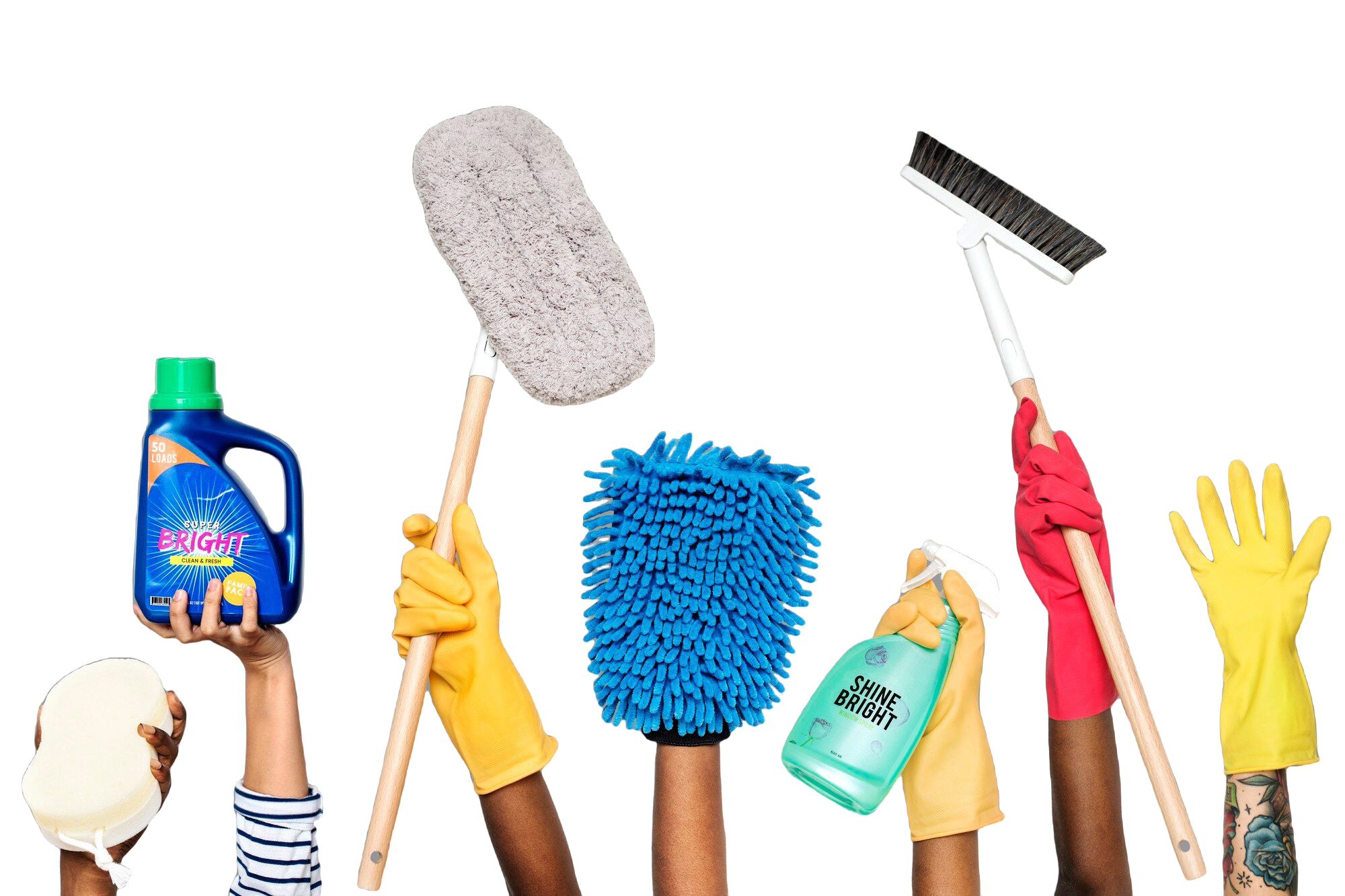 Professional Cleaning