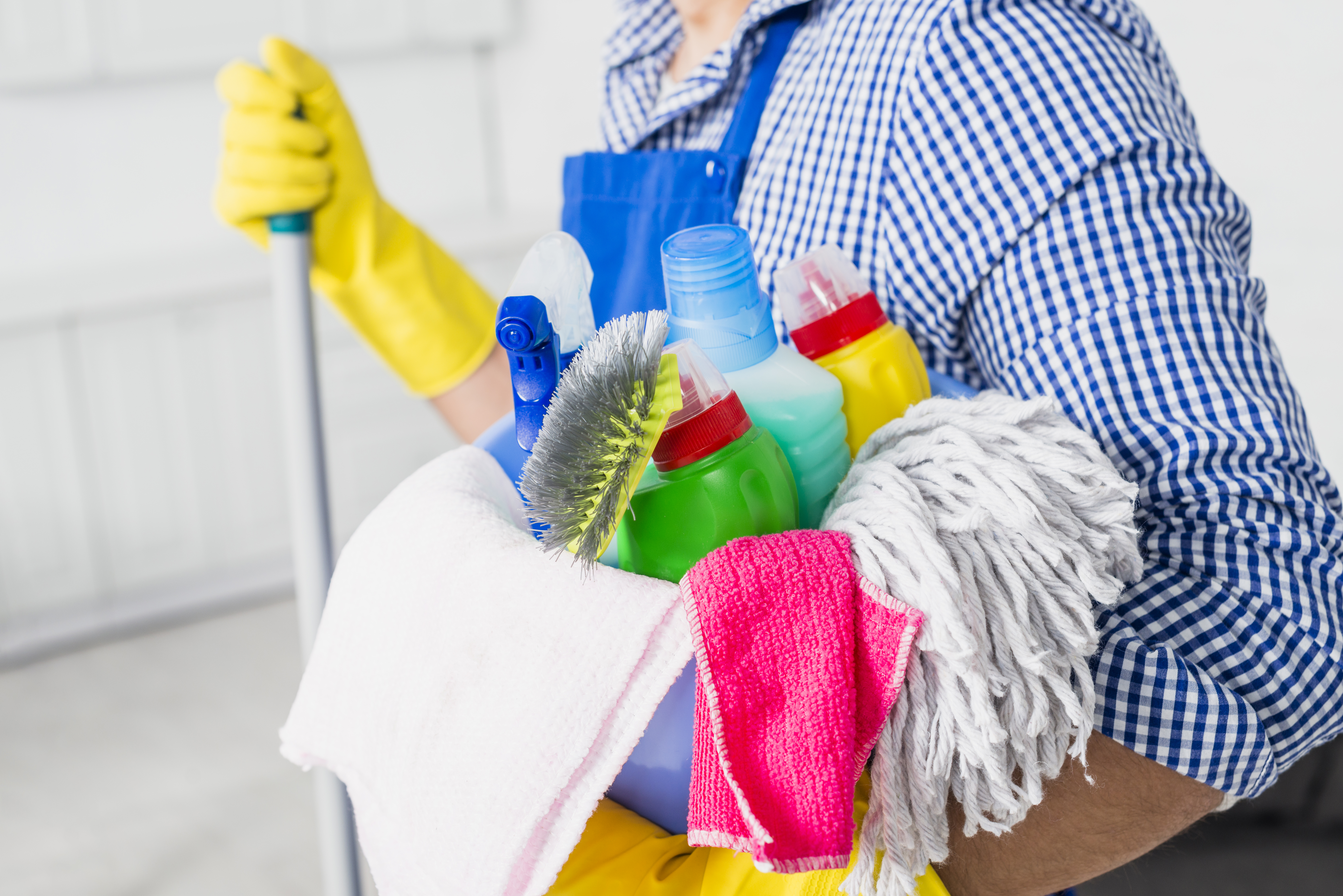 Professional Cleaning Service